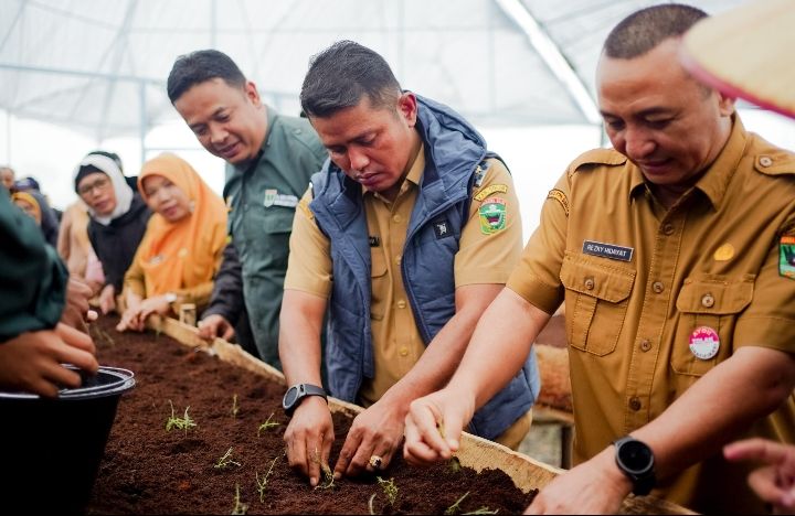 Gandeng BSIP , Pemkab Solok Targetkan Swasembada Pangan Tercapai