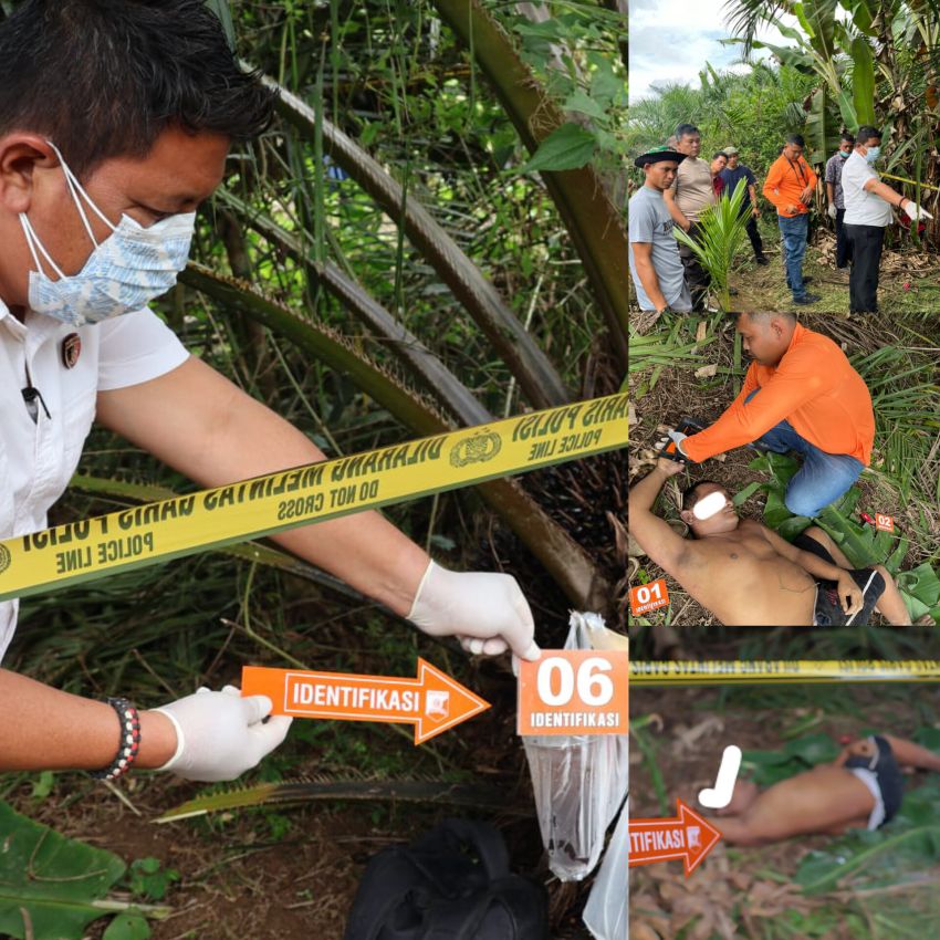 Temuan Mayat di Kebun Sawit Gegerkan Warga Desa Bulusonik Padang Lawas,Ini Keterangan Kasat Reskrim Polres Palas AKP Raden Saleh Harahap