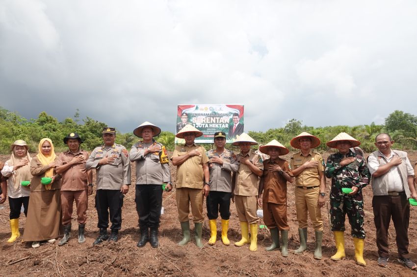 Pemkab Paluta Berkolaborasi dalam Penanaman Jagung Serentak 1 Juta Hektare,Pj Sekda Makmur Harahap : Kontribusi dalam Wujudkan Tujuan Besar Negara
