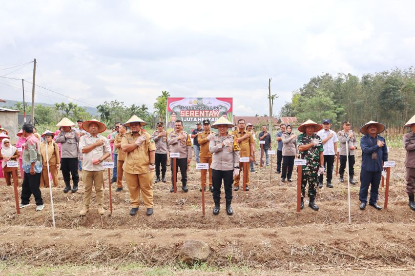 Penanaman Jagung Serentak 1 Juta Hektare di Padangsidimpuan, AKBP Dr Wira Prayatna Beri Dukungan Nyata untuk Swasembada Pangan 2025