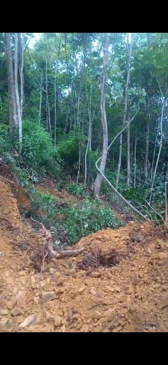 Usut Tuntas Dugaan Korupsi Program PSR di Labura, Libatkan Dana Rp1,6 Miliar