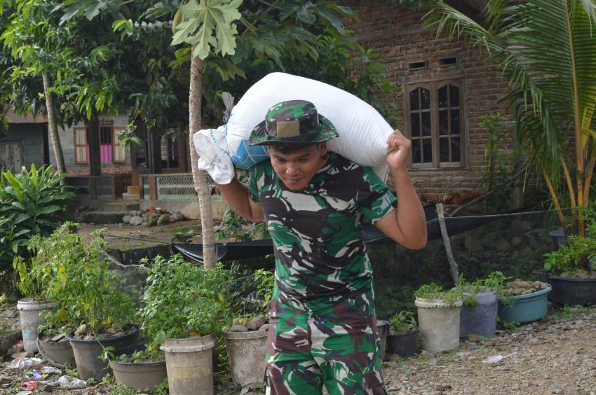 Aksi Nyata Praka Safruddin dari Satgas TMMD ke-123 Kodim 0212/Tapsel, Perkuat Ketahanan Pangan
