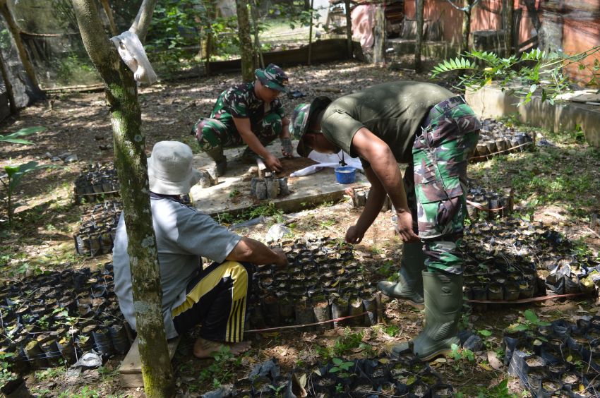 Satgas TMMD ke-123 Bantu Petani Sawit di Padang Lawas, Kolaborasi bersama TNI untuk Kemajuan Pertanian