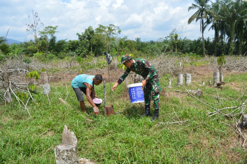 Kisah Inspiratif Satgas TMMD ke-123 Kodim 0212/Tapsel: Pengabdian untuk Warga, Merawat Harapan di Ladang Sawit 4 Hektar Palas
