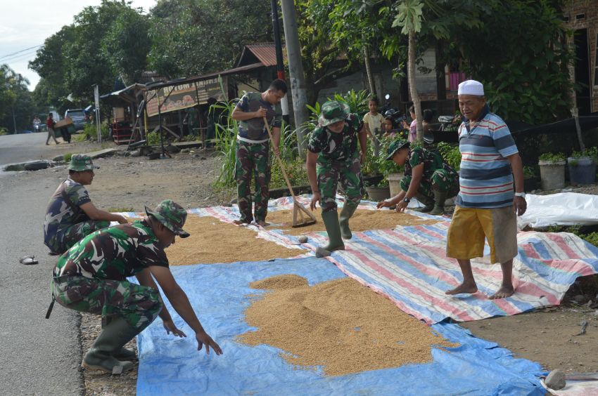 Satgas TMMD ke-123 Kodim 0212/Tapsel Bantu Petani Jemur Padi di Desa Pintu Padang Palas