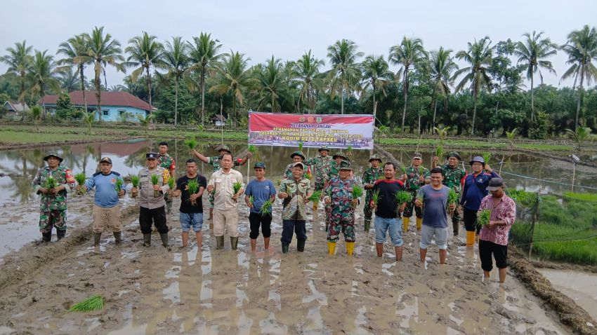 Dukung Asta Cita Presiden Prabowo, TMMD ke-123 Kodim 0212/Tapsel Siap Laksanakan Program Ketapang dengan Tanam Padi Seluas 2 Hektar Pasar Latong Palas