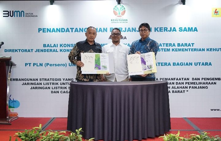 PLN dan BKSDA Jalin Sinergi Untuk Bangun Sistem Kelistrikan Berwawasan Lingkungan