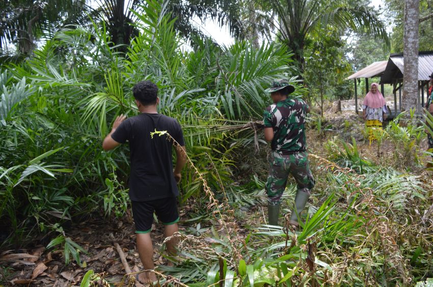 Satgas TMMD ke-123 Bantu Petani! Ratusan Bibit Sawit Dipindahkan ke Kebun di Paringgonan Padang Lawas