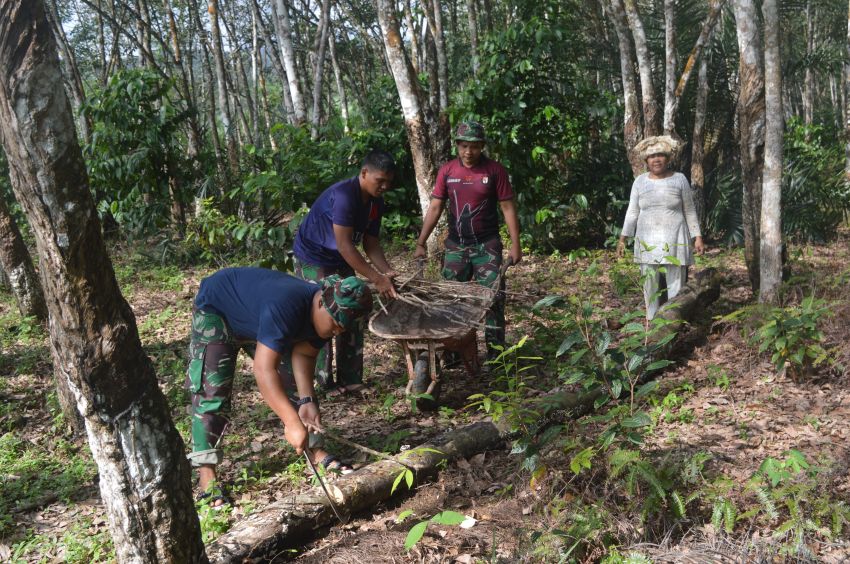 TNI Ada untuk Rakyat: Aksi Satgas TMMD ke-123 Kodim 0212/Tapsel yang Menginspirasi
