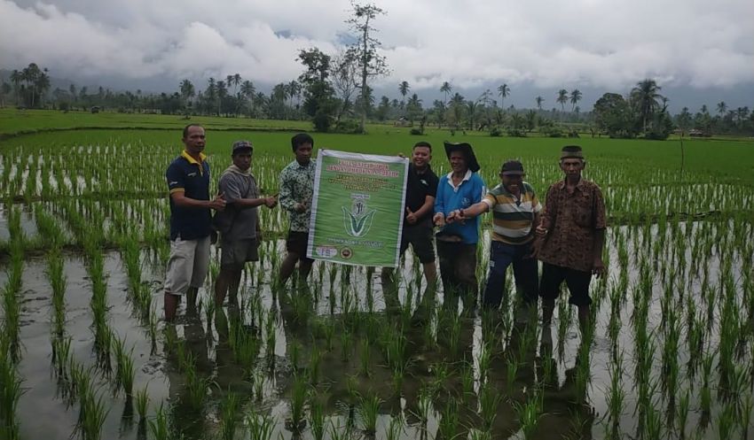 PT Wika Jaya Mandiri Perkuat Komitmen Dukung Ketahanan Pangan Nasional
