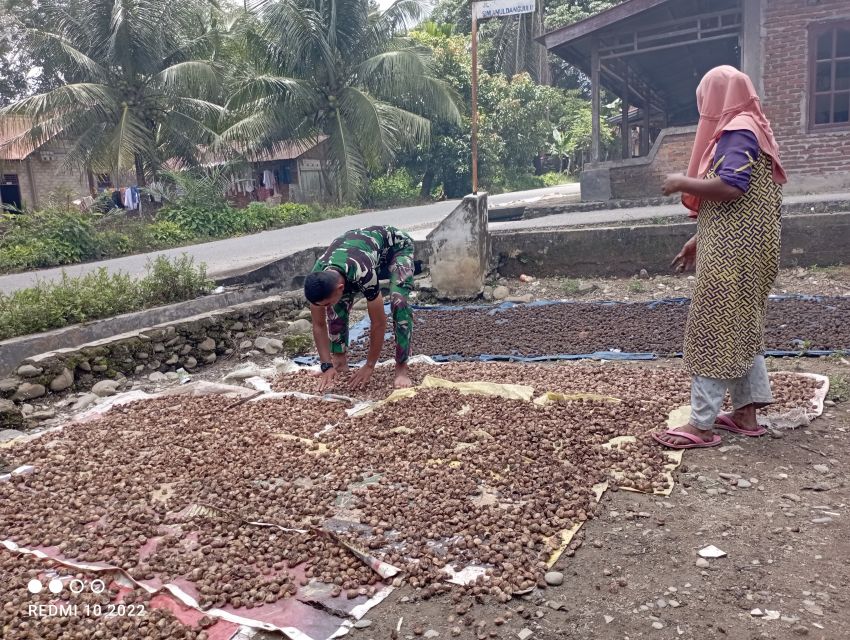 Aksi Tulus Satgas TMMD ke-123 Kodim 0212/Tapsel: Pratu Diky Siregar Bantu Petani Jemur Pinang, Warga Terharu!
