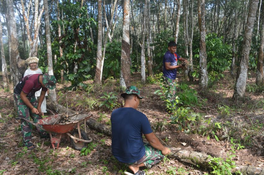 Satgas TMMD ke-123 Kodim 0212/Tapsel Turun Tangan: Bantu Warga Kumpulkan Kayu Bakar di Desa Pintu Padang Palas