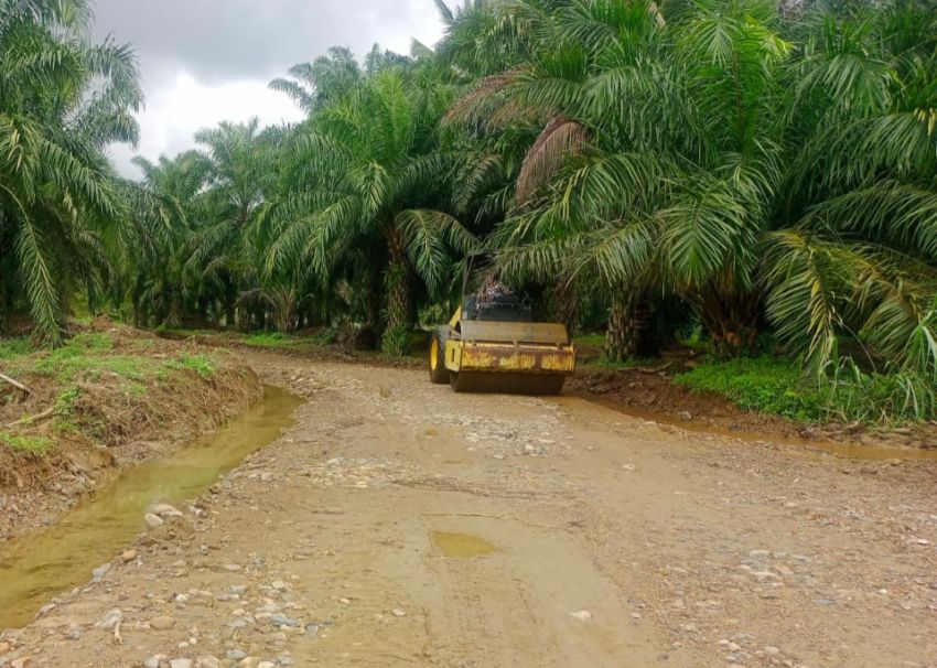 Satgas TMMD Ke-123 Kodim 0212/Tapsel Kejar Target Pembangunan Jalan di Desa Pintu Padang: Aksesibilitas Meningkat, Warga Senang!