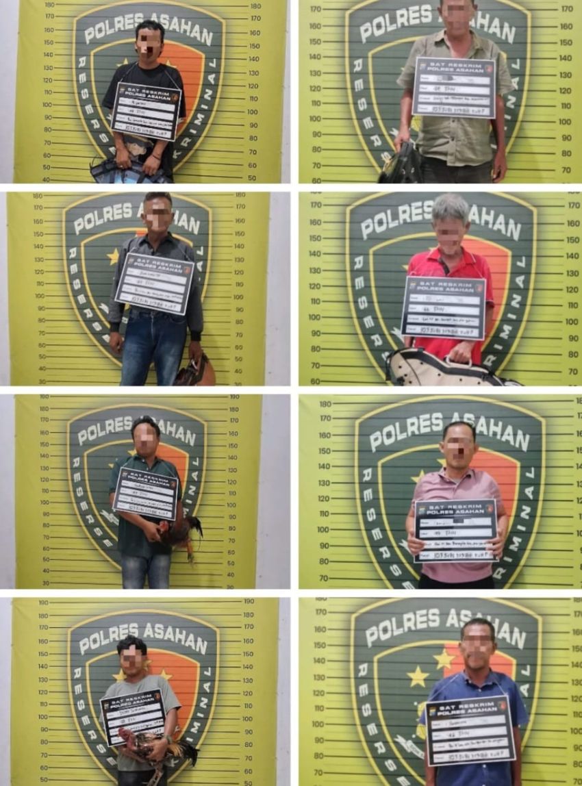 Polisi Gerebek Arena Sabung Ayam di Asahan, Delapan Orang Diamankan, Satu Anggota DPRD