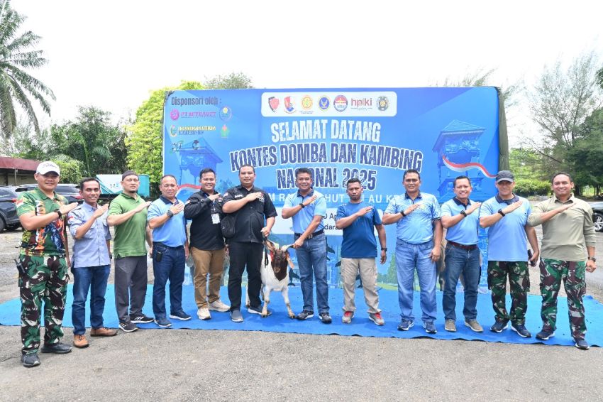 Lanud Soewondo Gelar Kontes Domba dan Kambing Nasional 2025 Dalam Rangka HUT ke-79 TNI AU