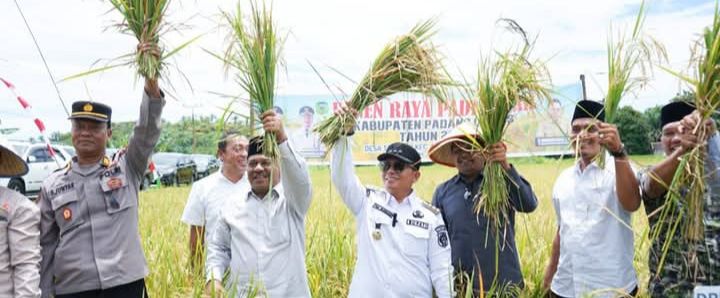 PMA Hadiri Panen Raya Padi Bersama di Desa Tanjung Aek Nabara Palas