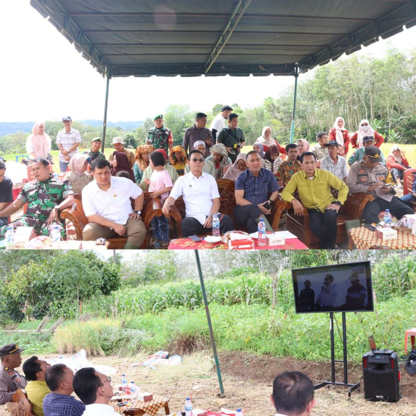 Disiarkan Dari Desa Pargarutan Julu, Bupati Tapsel Panen Raya Bersama Presiden RI