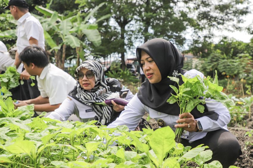 Wakil Wali Kota mengunjungi dan memonitoring program Pekarangan Pangan Lestari KWT Mitra Jaya
