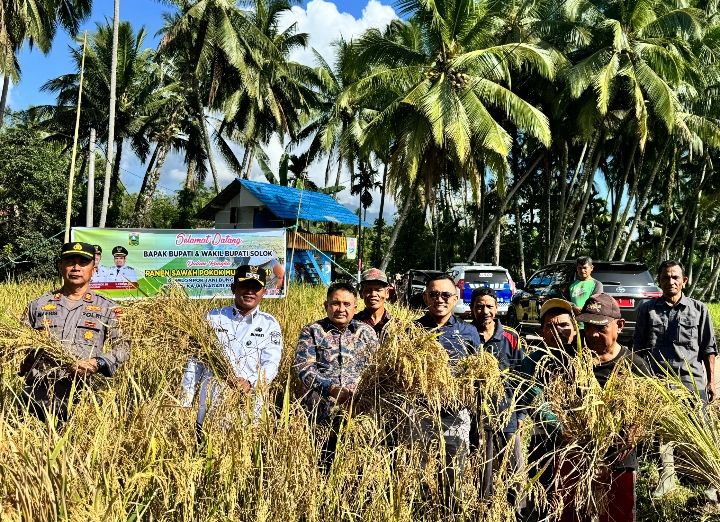 "Basawah Pokok Murah", Inovasi Jon Firman Pandu–Candra untuk Petani Solok Lebih Sejahtera dan Mandiri