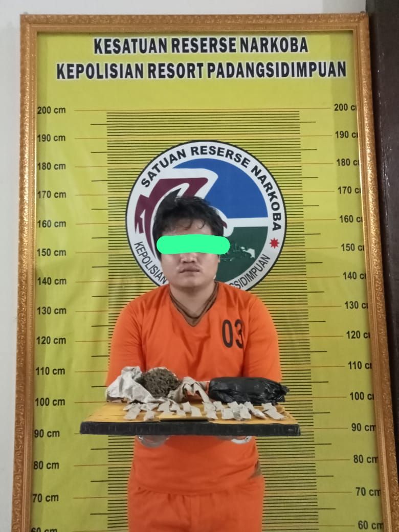 Aksi Cepat Satresnarkoba Polres Padangsidimpuan, Seorang Sopir Truk Membawa Ganja Ditangkap di Trotoar Jalan