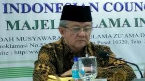 Waketum MUI Kritik Luhut, Desak Pemerintah Hormati Hak Berpendapat