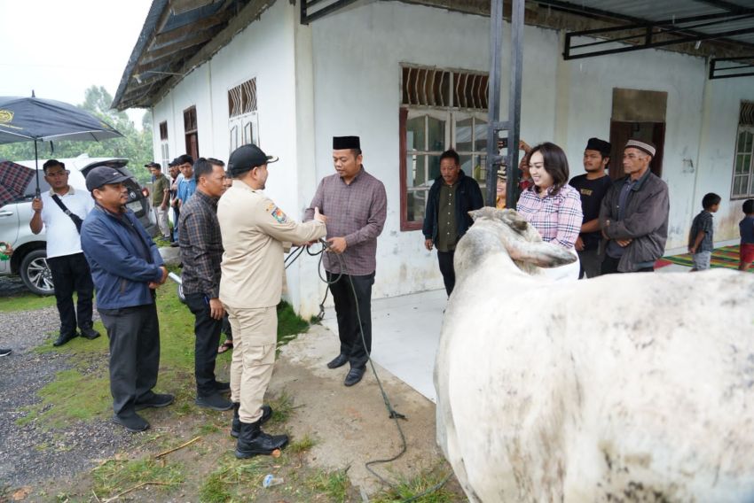 Bupati Pakpak Bharat Serahkan Satu Ekor Sapi qurban Di Desa Binga Boang
