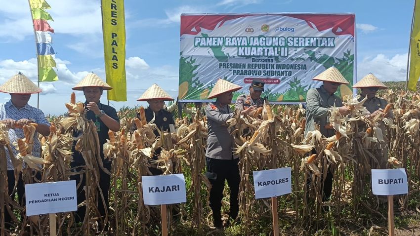 Dipimpin Presiden RI, Kapolres Palas Ikuti Zoom Meeting Dalam Rangka Panen Raya Jagung Serentak
