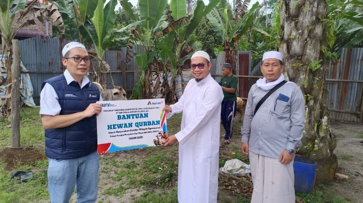 Iduladha 1446 H, Inalum Salurkan 47 Hewan Kurban Untuk Masyarakat Tiga Kabupaten di Sumut