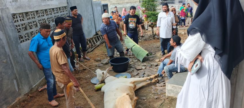 Ketua JMSI Tabagsel Ucok Rizal Nasution Ikut Berkurban Perdana di Kasmia, Semarakkan Idul Adha 1446 H di Mesjid Al-Habibi Padangsidimpuan