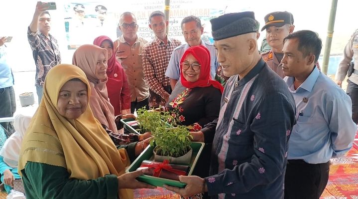 Gerakan Menanam Cabai, Upaya Kabupaten Solok Kendalikan Inflasi