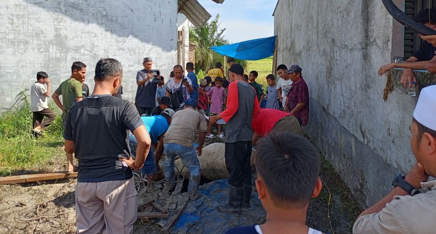 Perwiritan dan STM Silaturahmi Qurban 2 Ekor Sapi 2 Kambing, Mempererat Ukhuwah Islamiyah