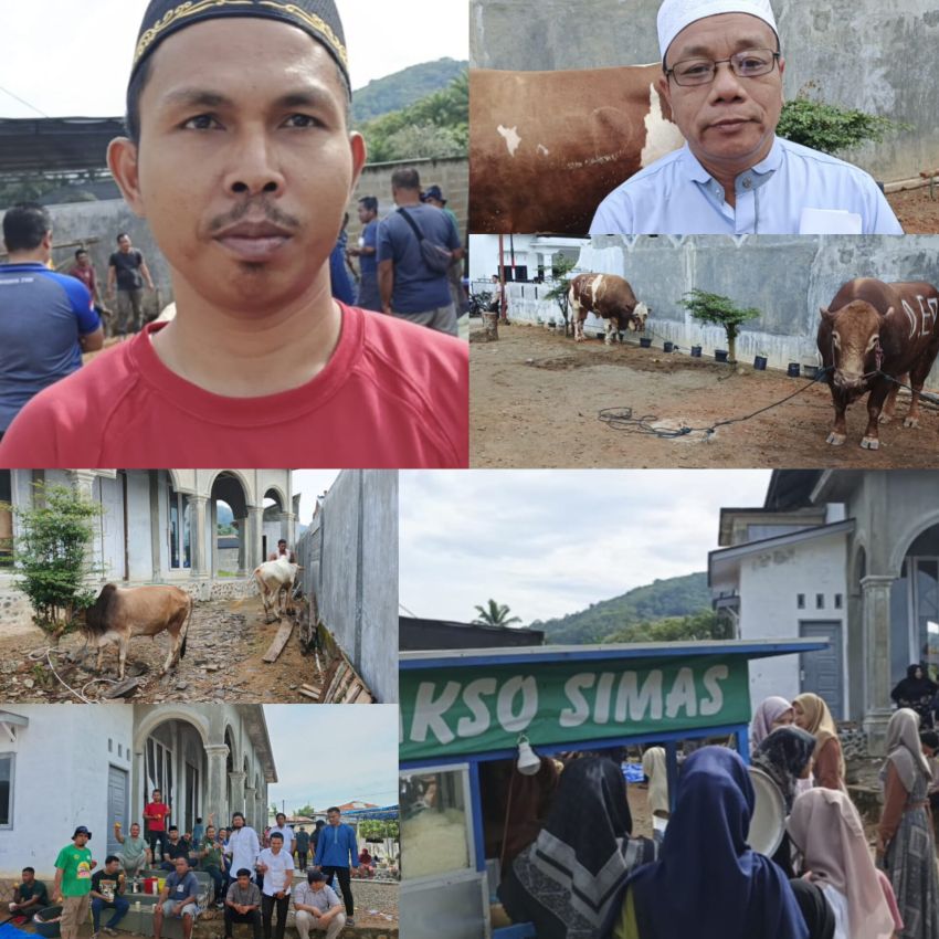 Perdana Digelar, Warga Kasmia Silandit Padangsidimpuan Kurban 2 Ekor Sapi dan 2 Lembu di Idul Adha 1446 H