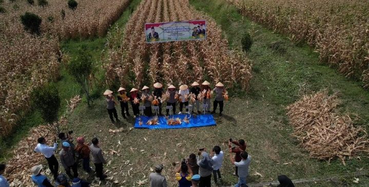 Dipimpin Presiden RI Prabowo Subianto, Bupati Solok Ikuti Panen Raya Nasional Jagung Serentak Kuartal II Tahun 2025 secara Daring