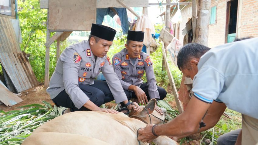 AKBP Wira Prayatna Serahkan Hewan Qurban dari Kapolda Sumut ke Pesantren Darul Qur’an Silandit Padangsidimpuan