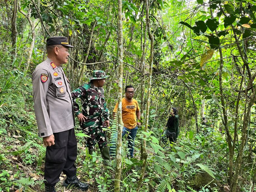 Misteri Harimau Sumatera,Polres Padangsidimpuan bersama Tim Gabungan lakukan Penelusuran di Kebun Warga Desa Pudun Jae
