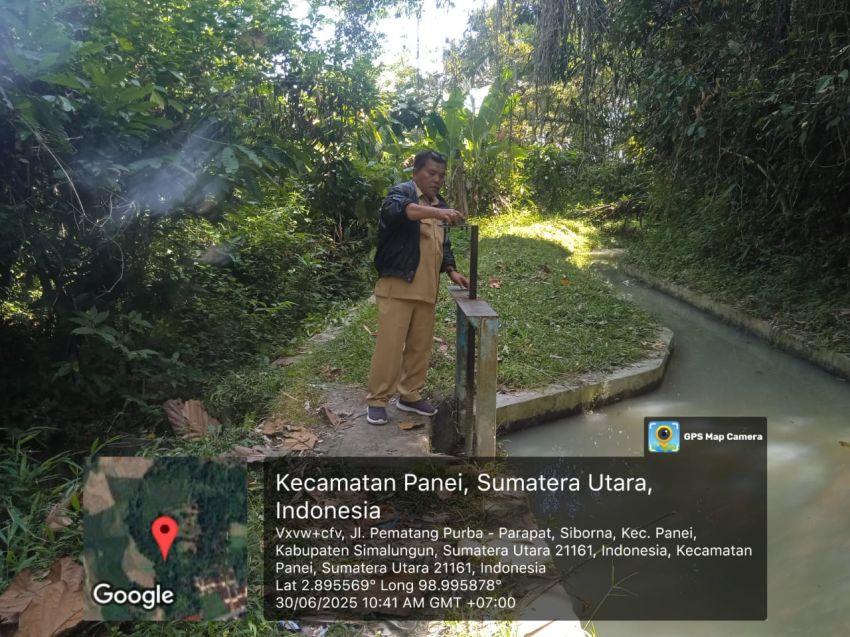 450 Ha Sawah terancam Pola Tanam di 3 Nagori Siborna dan Nauli Baru Simalungun