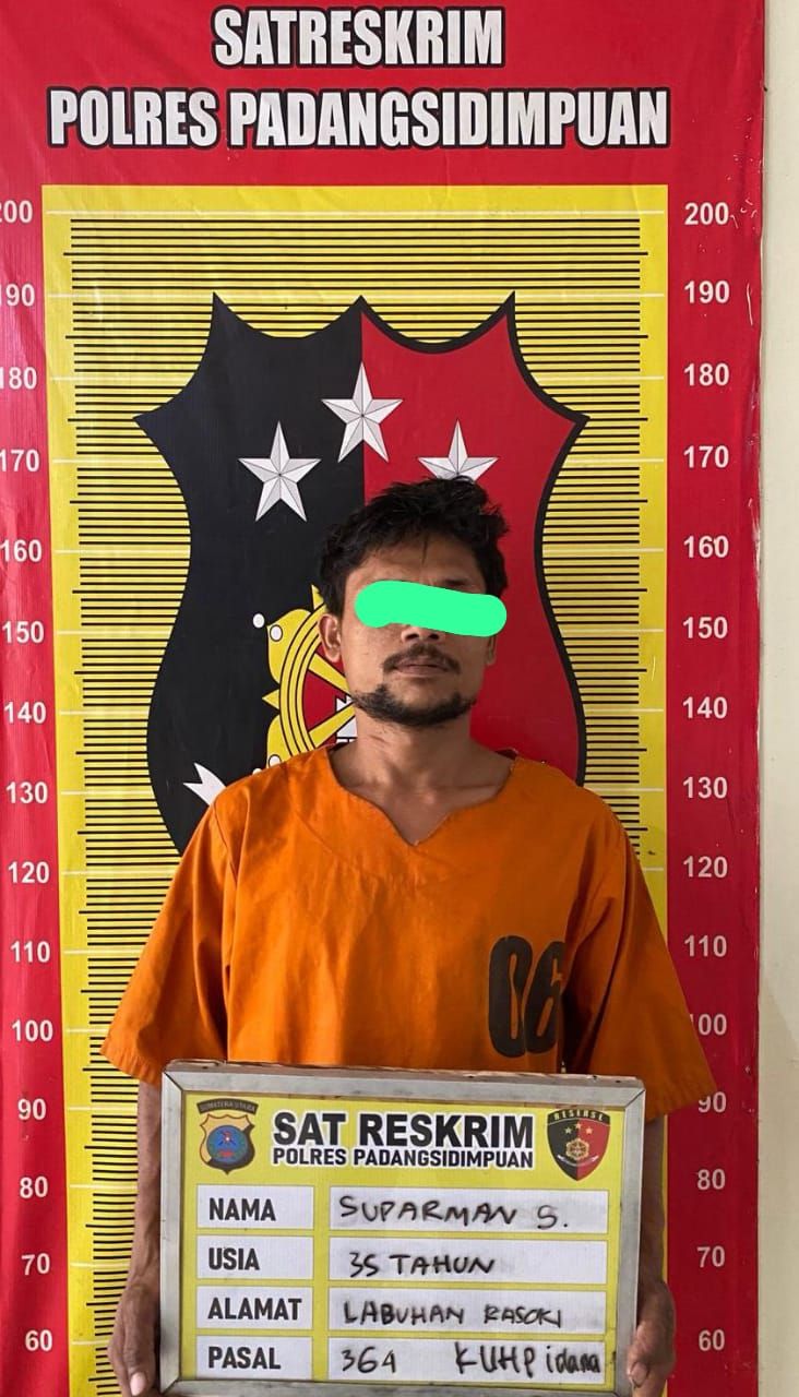Ketahuan Maling Sawit, Suparman Diciduk Tim Satreskrim Polres Padangsidimpuan Bareng 11 Tandan Bukti