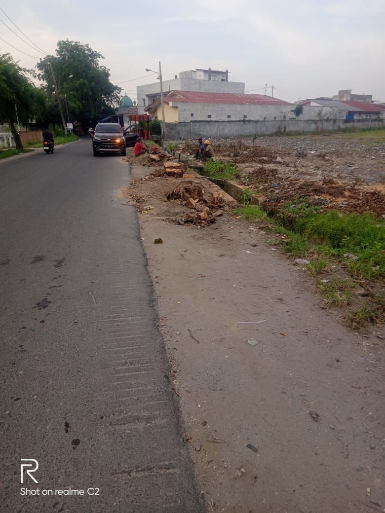 Penebangan Liar Pohon Pelindung Marak di Medan, Barapaksi Desak Pemko Tindak Tegas Pengembang