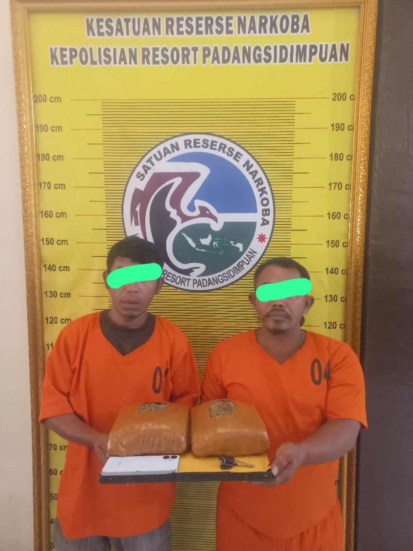 Ganja dengan Barbut 2,1 Kilo diamankan Beserta Bandar dari Tapsel oleh Tim Satresnarkoba Polres Padangsidimpuan,Ini Keterangan AKBP Wira Prayatna
