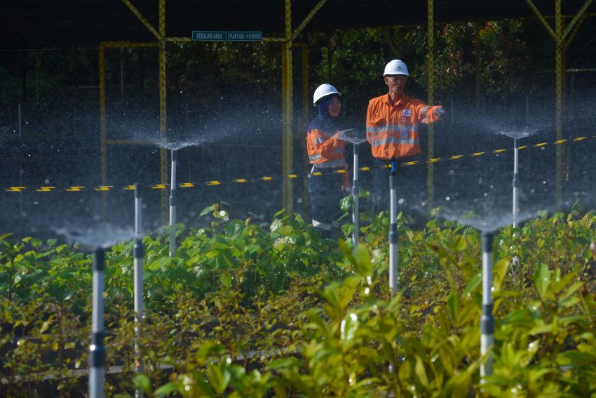 PT Agincourt Resources Tegaskan Komitmen Jaga Lingkungan dan Keanekaragaman Hayati di Tambang Emas Martabe