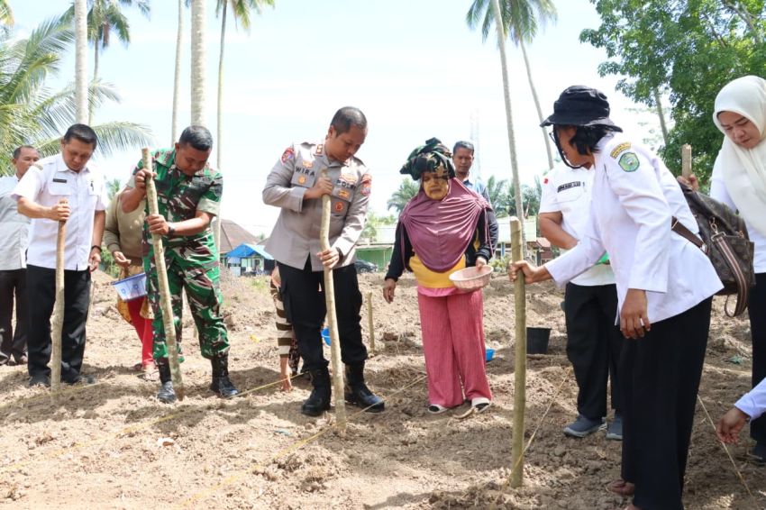 AKBP Wira Prayatna Tekankan Pentingnya Kualitas Panen di Program Jagung Ketapang kota Padangsidimpuan