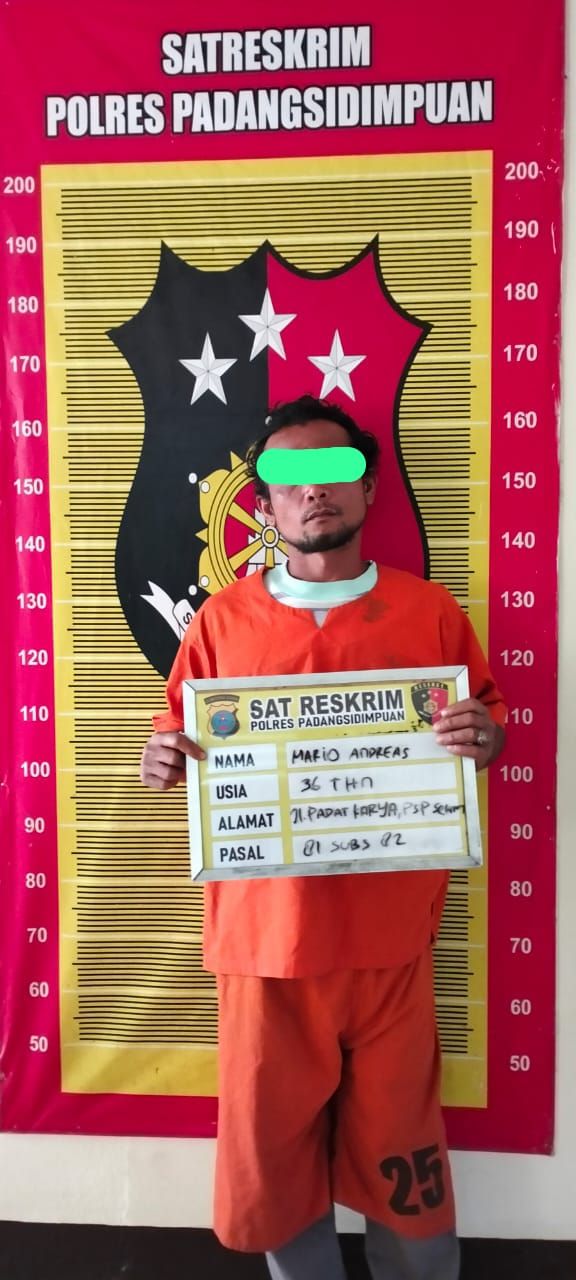 Pelaku Cabul Anak Ditangkap, Polres Padangsidimpuan Gandeng Ahli Psikologi untuk Dampingi Korban
