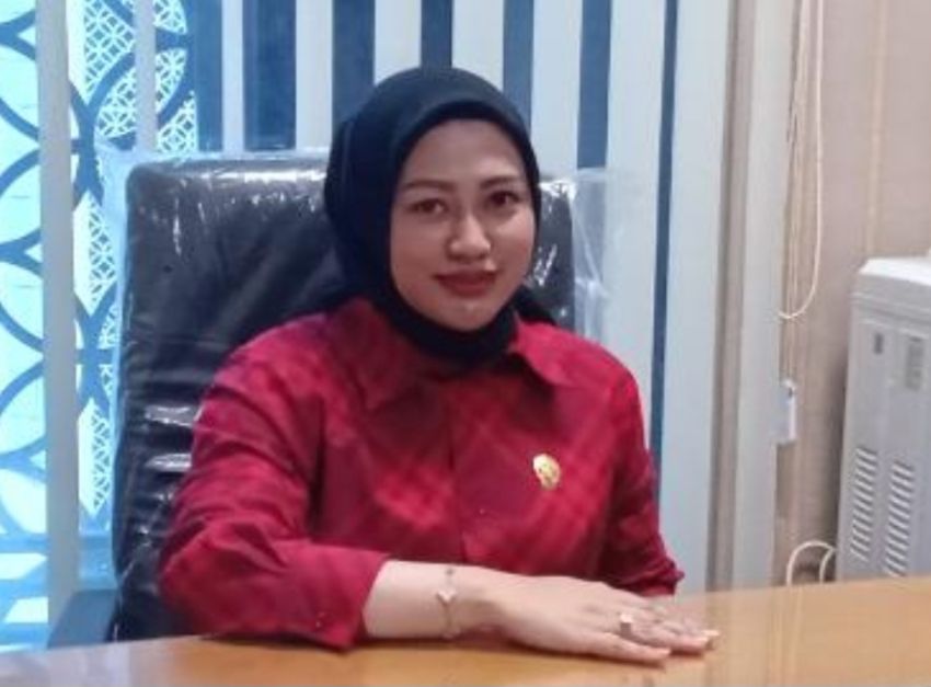 Pengamat Nilai Ketua DPRD Sumut Belum Dewasa dalam Menyikapi Kritik