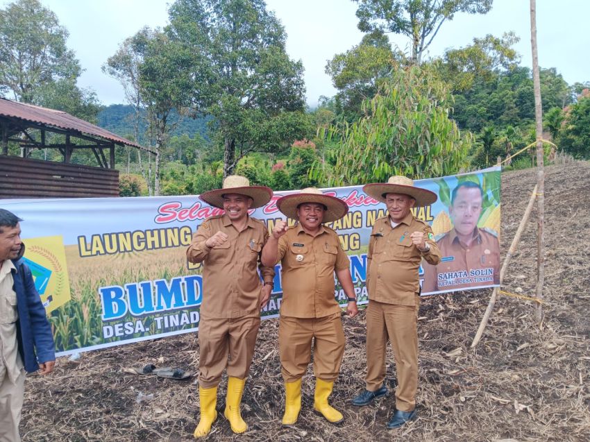 BUMDes Desa Tinada Melaksanakan Penanaman Jagung