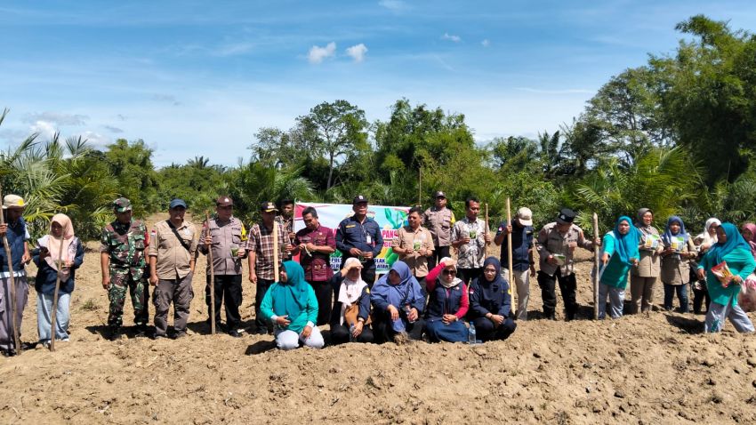 Penanaman Perdana Jagung di Desa Sihoda Hoda, Polsek Padang Bolak Polres Tapsel Dukung Ketahanan Pangan