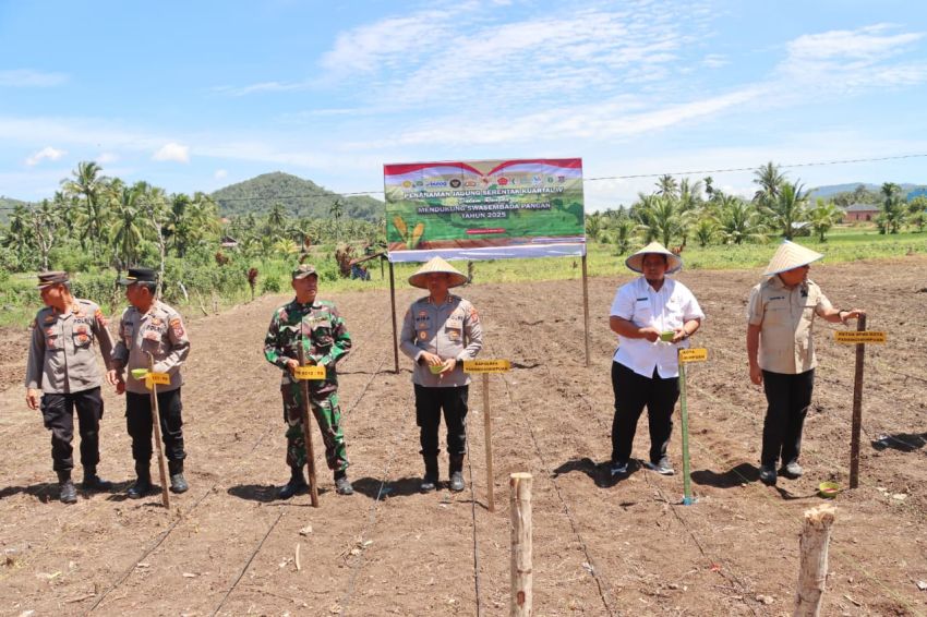 Padangsidimpuan Tanam Jagung Serentak Kuartal IV,AKBP Wira Prayatna : Wujud Nyata Dukungan Polri untuk Ketahanan Pangan